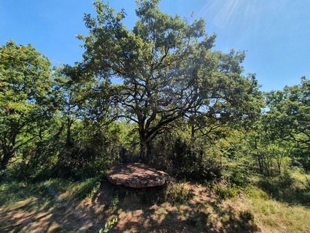 Dolmen de Concoules 1