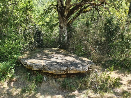 Dolmen de Concoules 1