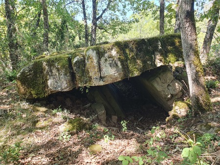 Dolmen de Concoules 2 Dolmen de Concoules 2