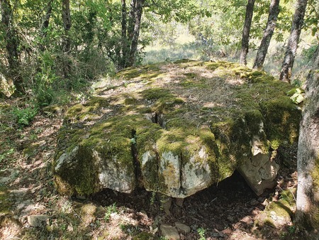 Dolmen de Concoules 2