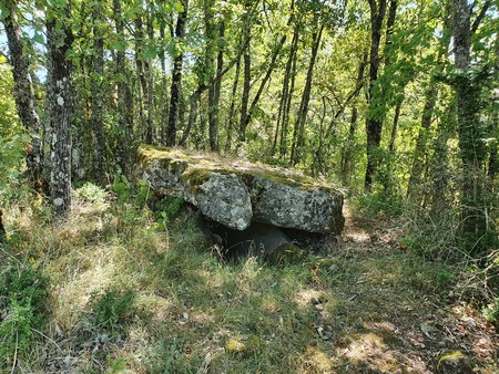 Dolmen de Concoules 2