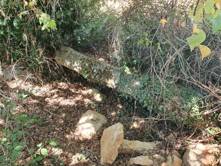 Dolmen de Concoules 3 Dolmen de Concoules 3
