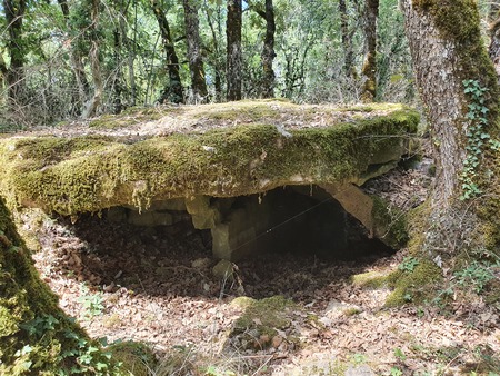Dolmen de Concoules 4 Dolmen de Concoules 4