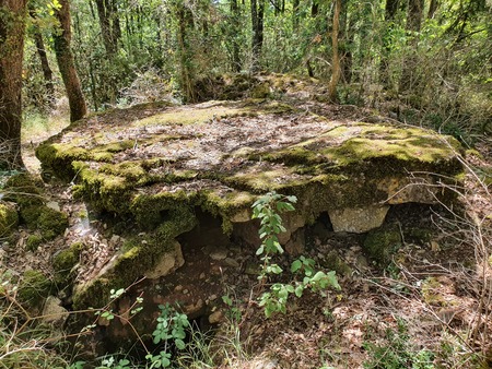 Dolmen de Concoules 4