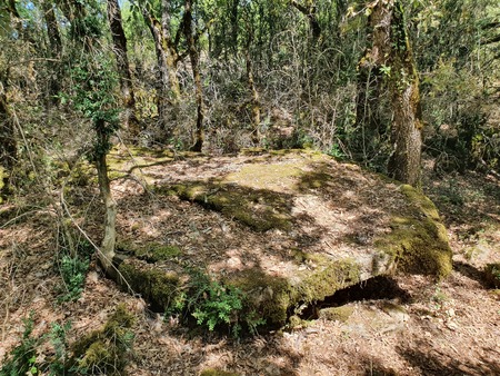 Dolmen de Concoules 4 Dolmen de Concoules 4