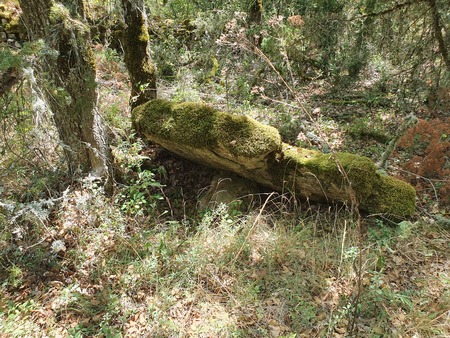 Dolmen de Concoules 5