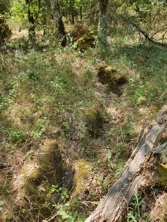 Dolmen de Concoules 5 Dolmen de Concoules 5