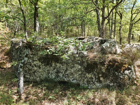 Tombes de la Roubière Tombes de la Roubière