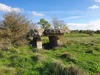 Dolmen de Jonquet