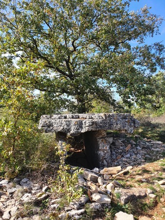 Dolmen de la Fabière Dolmen de la Fabière