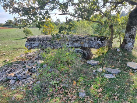 Dolmen de la Fabière Dolmen de la Fabière