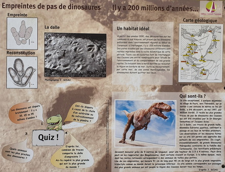 Empreintes de Dinosaures