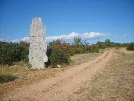 Menhir du Lacam des Lavagnes Menhir du Lacam des Lavagnes