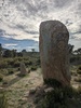 Menhir de la Murtra