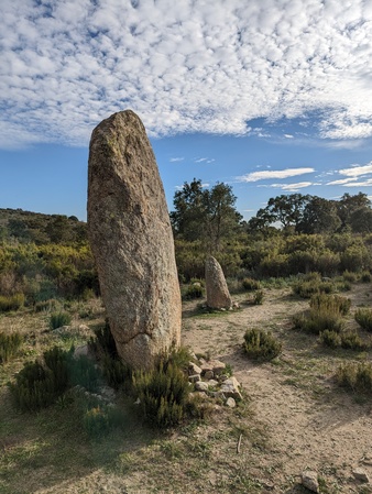 Menhir de la Murtra