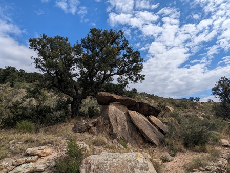 Dolmen de la Devesa Dolmen de la Devesa