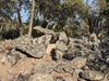 Dolmen de Galuert