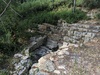 Fontaine du coucou