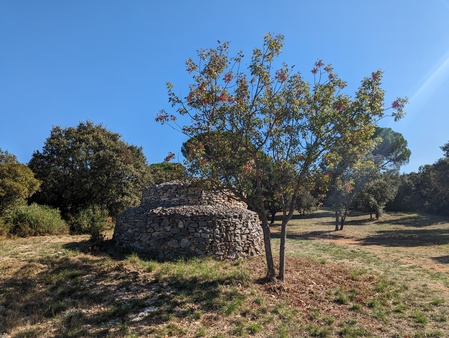 Capitelle