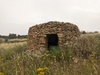 Capitelle