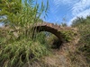 Pont du Mas Oriol