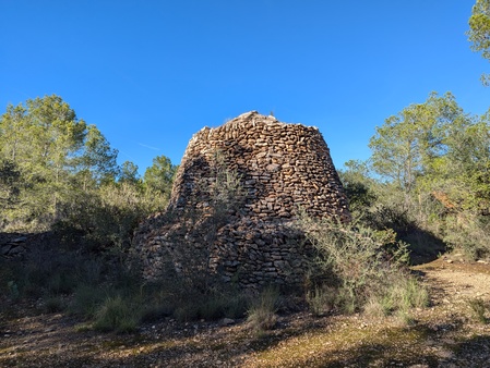 Barraca dels Comuns del Pellicer