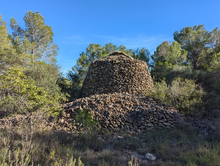 Barraca dels Comuns del Pellicer