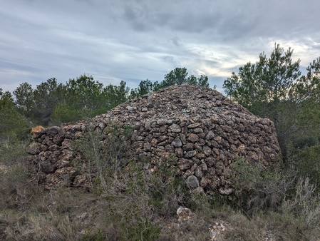 Barraca del Camí de les Terres Noves Barraca del Camí de les Terres Noves