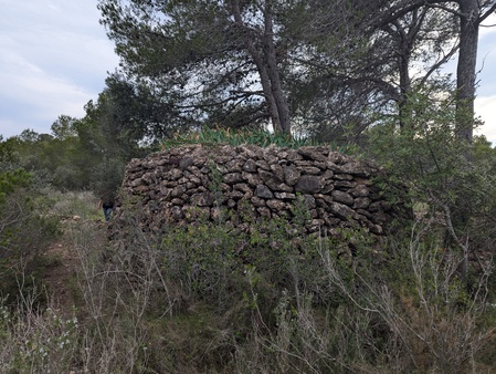 Barraca dels lliris Barraca dels lliris