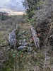 Dolmen de Campeyroux