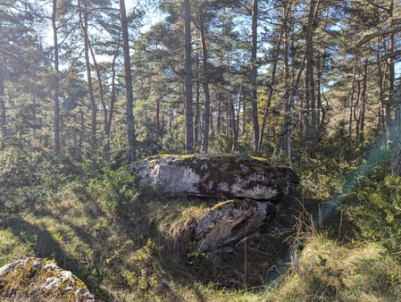 Dolmen de Chardonnet (B)