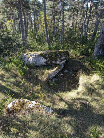 Dolmen de Chardonnet (B)