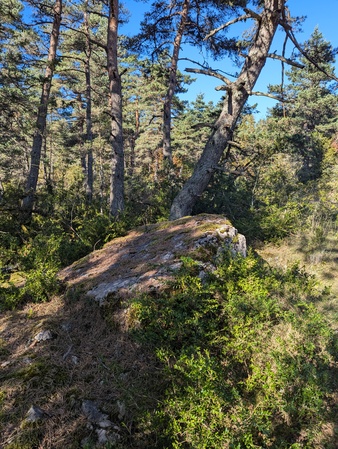 Dolmen de Chardonnet (B)