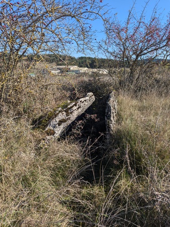 Dolmen des Fons