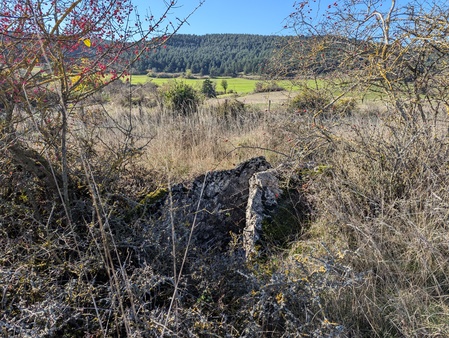 Dolmen des Fons
