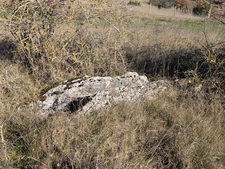 Dolmen des Fons
