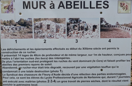 Mur à Abeilles Mur à Abeilles