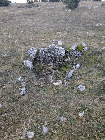 Enceinte Protohistorique de la Rode