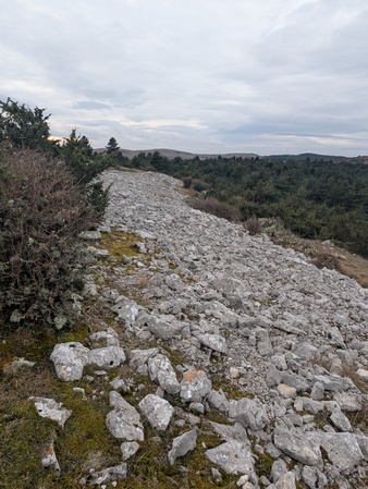 Enceinte Protohistorique de la Rode
