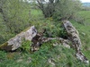 Dolmen de Surguières