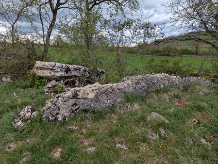 Dolmen de Surguières