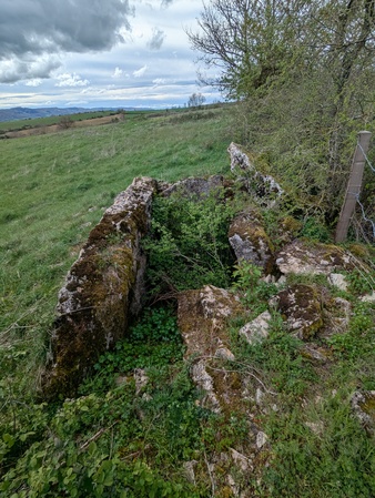 Dolmen de Surguières