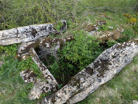 Dolmen de Surguières