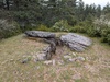 Dolmen de la Cham