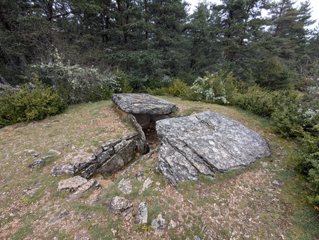 Dolmen de la Cham Dolmen de la Cham