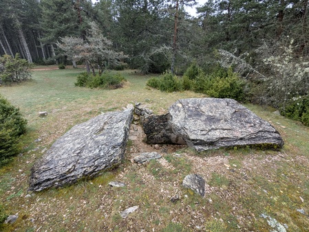 Dolmen de la Cham Dolmen de la Cham