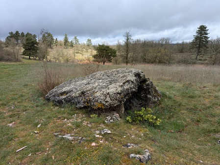 Dolmen de la Rouvière