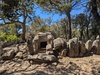 Dolmen de la Cova d'en Daina