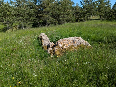 Dolmen de la Prade