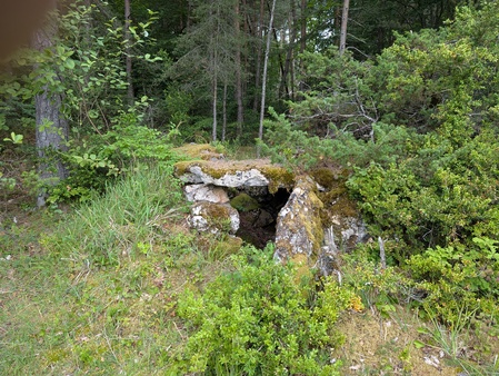 Dolmen du Puech de Cricou Dolmen du Puech de Cricou